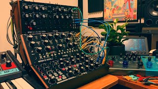 Moog Sound Studio 3  Cicadas Night [upl. by Guillemette]