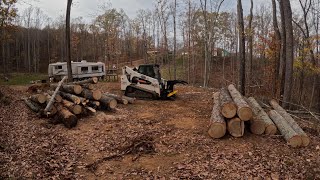 🔴⚫️ Part 1What can you do with a Halverson Grapple Saw on a Bobcat SkidSteer⚫️🔴Lets FIND out👊🏻➡️ [upl. by Nosyd]