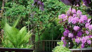 Lost Gardens of Heligan  Cornwall [upl. by Ettelegna]