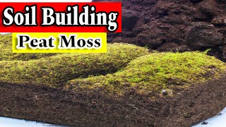 Everything You Need to Know About Sphagnum Peat Moss [upl. by Nho]