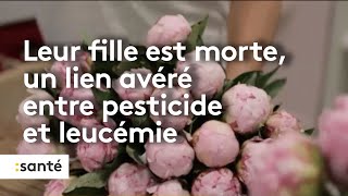 Leur fille est morte  un lien avéré entre pesticide et leucémie [upl. by Noswad]