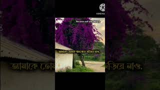 خذني بحضنك Arabic song lyrics in Bangla subtitle no music 🍂arabic [upl. by Geminius]