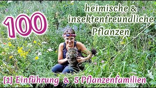 100 heimische amp insektenfreundliche Pflanzen 14 Einführung amp 5 Familien inkl BestäuberWissen [upl. by Hamlen]