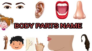 BODY PARTS NAME [upl. by Kassab]