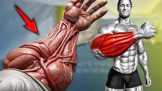 5 Best Exercise to get Forearm Veins Fast [upl. by Layton984]