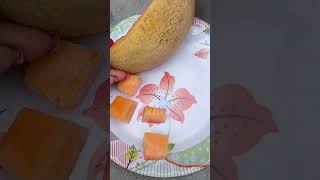 khormuj fruit please subscribe my channel 🙏 [upl. by Mariska]