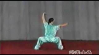 Wu Bu Quan 五步拳 [upl. by Keon317]