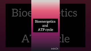 Bioenergetics and ATP cycle  biochemistry msc 4th sem education mscnotes msc4thsemnotes [upl. by Willock]