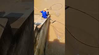 Amazing Woman Catch Fish Get A Lot Of Fish In The River part 165 netfishing [upl. by Crandale]