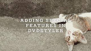 How To Add Special Features In DVDStyler [upl. by Zeuqcaj578]