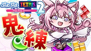 【ぷよぷよテトリス2】テトリスが強くなりたいんです──鬼練じゃあ！！！🔥【博衣こよりホロライブ】 [upl. by Ailedua615]