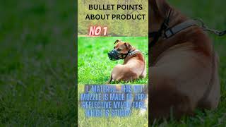 How to put a muzzle on a dog that bites How to train dog to wear a muzzleshorts [upl. by Yraunaj]