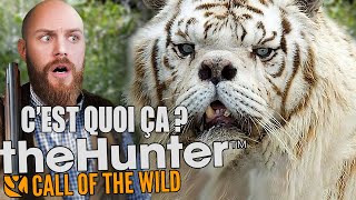 ON CHASSE LE TIGRE MUTANT ALBINOS  The Hunter Call of the Wild [upl. by Uoliram]