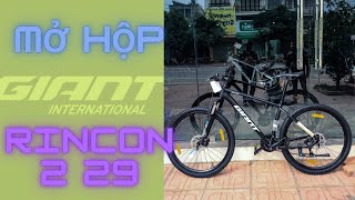 Giant Rincon 2 29  bánh 29 inches  2022  Black [upl. by Shuler409]