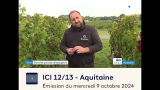 REPORTAGE FRANCE 3 Vendanges 2024 Château Mangot [upl. by Norved]