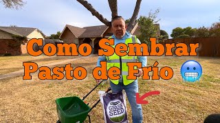 Sembrando pasto Frio Como sembrar pasto de frio [upl. by Gibeon]