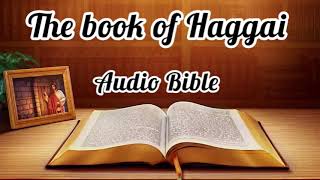 Audio Bible The book of Haggai [upl. by Cassaundra]