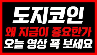 도지코인  💥긴급속보 왜 지금이 중요한 자리인가 오늘 영상 꼭 보셔야합니다 도지코인전망 도지코인분석 도지코인관련주 도지코인가격 [upl. by Shum]