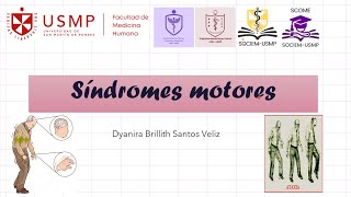 Medicina 1  Sesión 14A  Síndromes motores  Dyanira Santos  20242 [upl. by Darci]