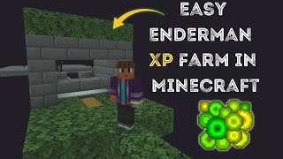 EASIEST Enderman XP farm in Minecraft Bedrock Edition [upl. by Zerimar]