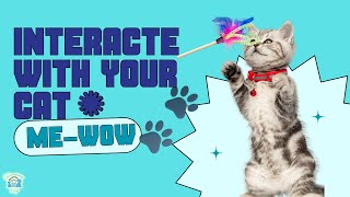 Boost Your Cats Wellness Fun Games for a Happy Healthy Feline [upl. by Bean588]