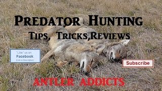 Predator Hunting Tips Tricks Reviews Primos quotStillquot Cottontail Rabbit [upl. by Nnawaj]