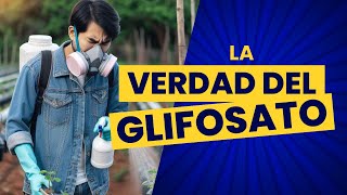 ¿Qué es el glifosato 🌱  ¿Para qué sirve este herbicida 🚜  Situación en México y el mundo 🌎 [upl. by Naawaj691]