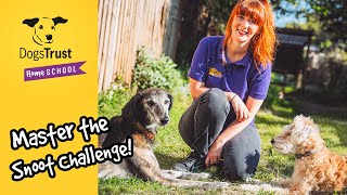 Teach your dog how to do the Snoot Challenge  Dogs Trust [upl. by Hareemas]