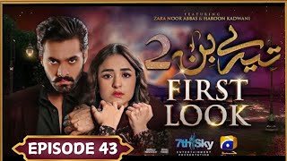 Tere Bin Season 2 Episode 43  Yumna zaidi  Wahaj Ali  GEO HAR PAL TomorrosTides [upl. by Anigal]