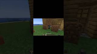 I Built a Minecraft Dog Door [upl. by Nivri695]