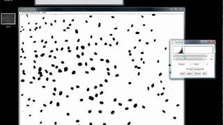 How to count cells using ImageJ [upl. by Hermann]