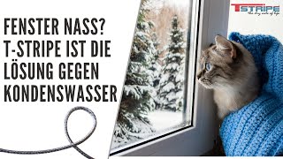 Fenster nass Die TSTRIPE Fensterheizung schützt Ihre Fenster Scheiben vor Kondenswasser [upl. by Naujej]