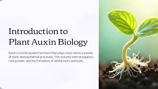 Plant Auxin Biology 20 Minutes [upl. by Romaine]