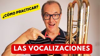 CÓMO TRABAJAR LA VOCALIZACIÓN [upl. by Noonberg]