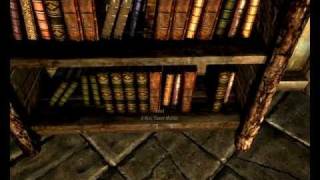 Skyrim bug  Bookshelf  Container inventory Loss [upl. by Wycoff423]