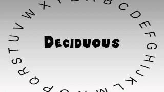 How to Say or Pronounce Deciduous [upl. by Ecineg]