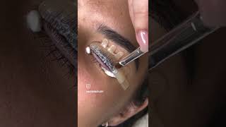 EYELASHES TUTORIAL FOR BEGINNERS  shortsfeed shots shorts short eyelashextensions trending [upl. by Anad]