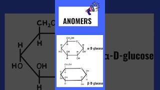 What is anomers👍  Anomers of glucose shorts youtubeshorts [upl. by Ical]