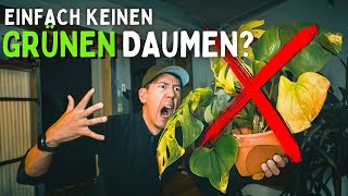 Damit überleben auch deine Zimmerpflanzen 💚 Vorbereiten und Pflege  mineralisches Substrat Folge 4 [upl. by Katzen]