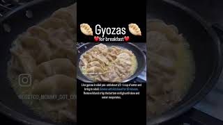 gyoza gyozas [upl. by Enoitna]