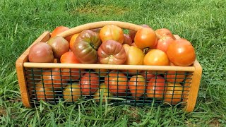 Canning Tomatoes [upl. by Jarrell]