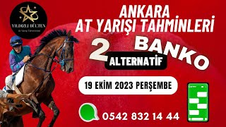 19 Ekim 2023 Perşembe Ankara At Yarışı Tahminleri [upl. by Eillime]