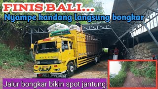 Finis BALI👉KRj langsung bongkarJalur tempat bongkar bikin spot jantung [upl. by Gierk]