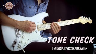 TONE CHECK Fender Player Series Stratocaster Demo  No Talking [upl. by Paulita726]