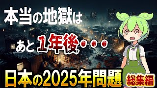 日本が沈没する2025年問題とは？【ずんだもん解説】 [upl. by Annabell]