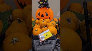 Sobeys Halloween Pumpkins🎃 [upl. by Ardnoel]