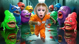 KiKi Monkey escape from Giant Monster in Prison Break challenge amp go Swimming Pool KUDO ANIMAL KIKI [upl. by Klina]