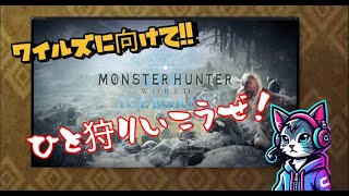 【MHW：IB】 ワイルズに向けて振り返りワールド！！ 5 [upl. by Pammy]