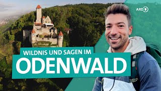 Odenwald Wandern und Entdecken zwischen Neckar und Bergstraße  Wunderschön  ARD Reisen [upl. by Romeyn]