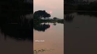 Pokhari kula youtubeshorts viralshorts village visit odisha india indian simple rural yt [upl. by Esydnac]